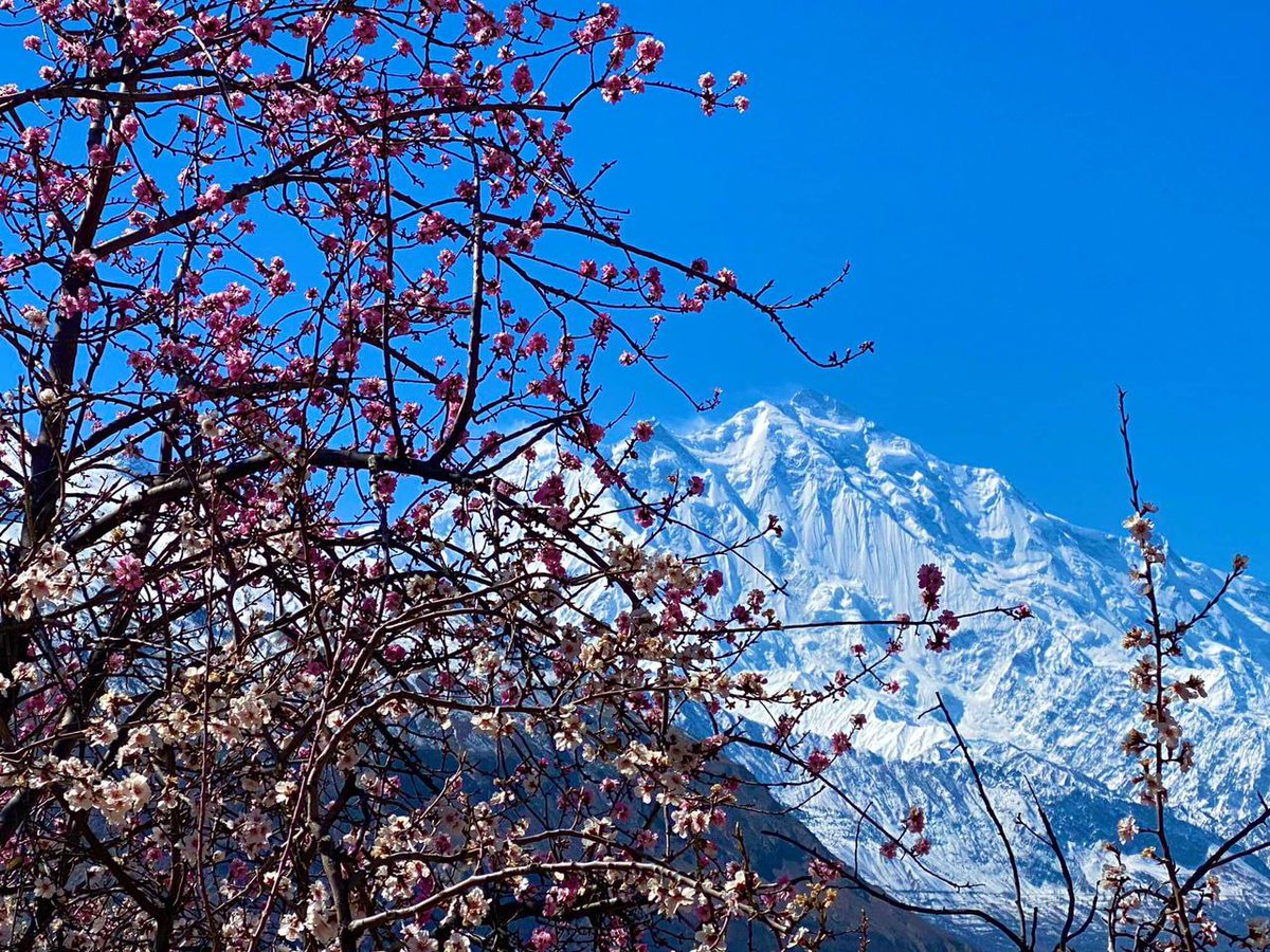 Spring blossom has just started in the north areas of Pakistan.
The atmosphere in Gilgit Baltistan is filled with pink and white colors.
#AlienRomulus #ApricotBlossom #deprem #ไบร์ทวิน #Nowruz #adventurelover #sett #skarduexpedition #trekking #GilgitBaltistan #GB