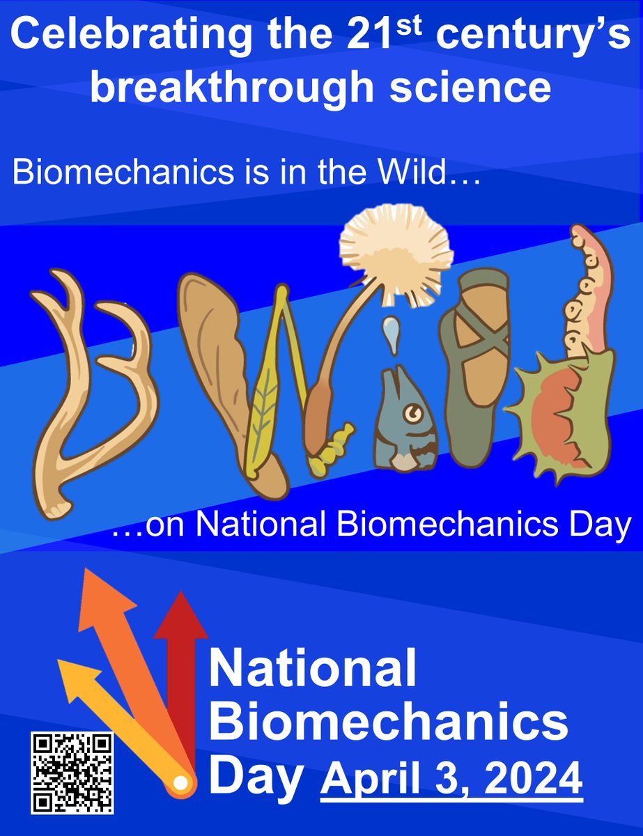National Biomechanics Day (@biomechanicsday) on Twitter photo We highlight several new sponsors here
#Biomechanics In The Wild is a blog used by Dr. Maria Holland's undergrad course at Notre Dame discussing the broad range of biomechanics because, "...biomechanics is everywhere!" Website: sites.nd.edu/biomechanics-i… <a href="/mholla_back/">Dr. Maria Holland</a> We highlight several new sponsors here
#Biomechanics In The Wild is a blog used by Dr. Maria Holland's undergrad course at Notre Dame discussing the broad range of biomechanics because, "...biomechanics is everywhere!" Website: sites.nd.edu/biomechanics-i… <a href="/mholla_back/">Dr. Maria Holland</a>