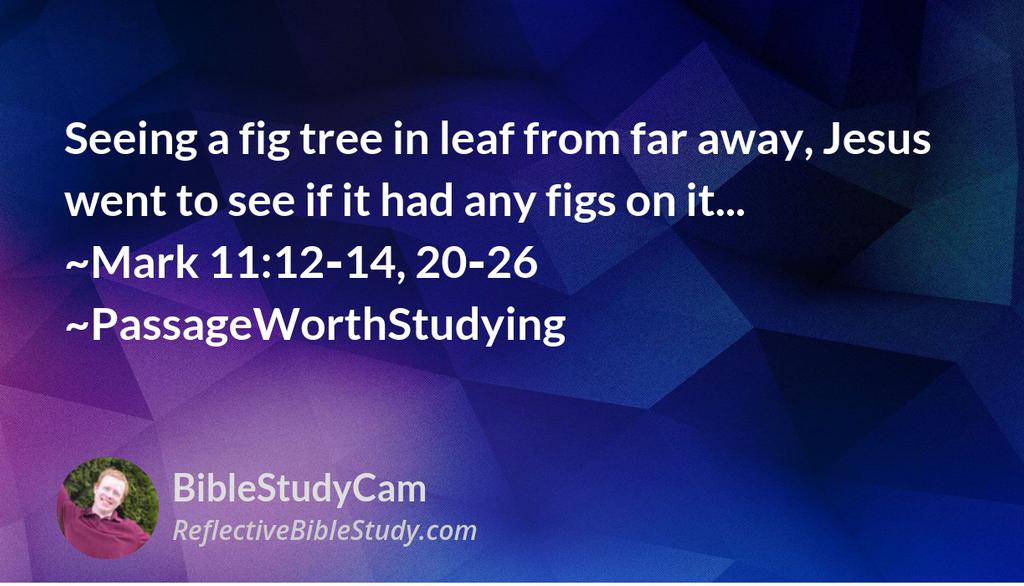 BibleStudyCam's tweet photo. Our requests and subsequent responses from God help us see our lives differently; these responses help us see how God wants the best life for us—from an eternity perspective. ~Mark 11:12‑14, 20‑26 ~WorthStudying
👉 https://t.co/eY3VXkN8zH

#ReflectiveBibleStudy #Jesus #Christian https://t.co/Fsws6dvvxX