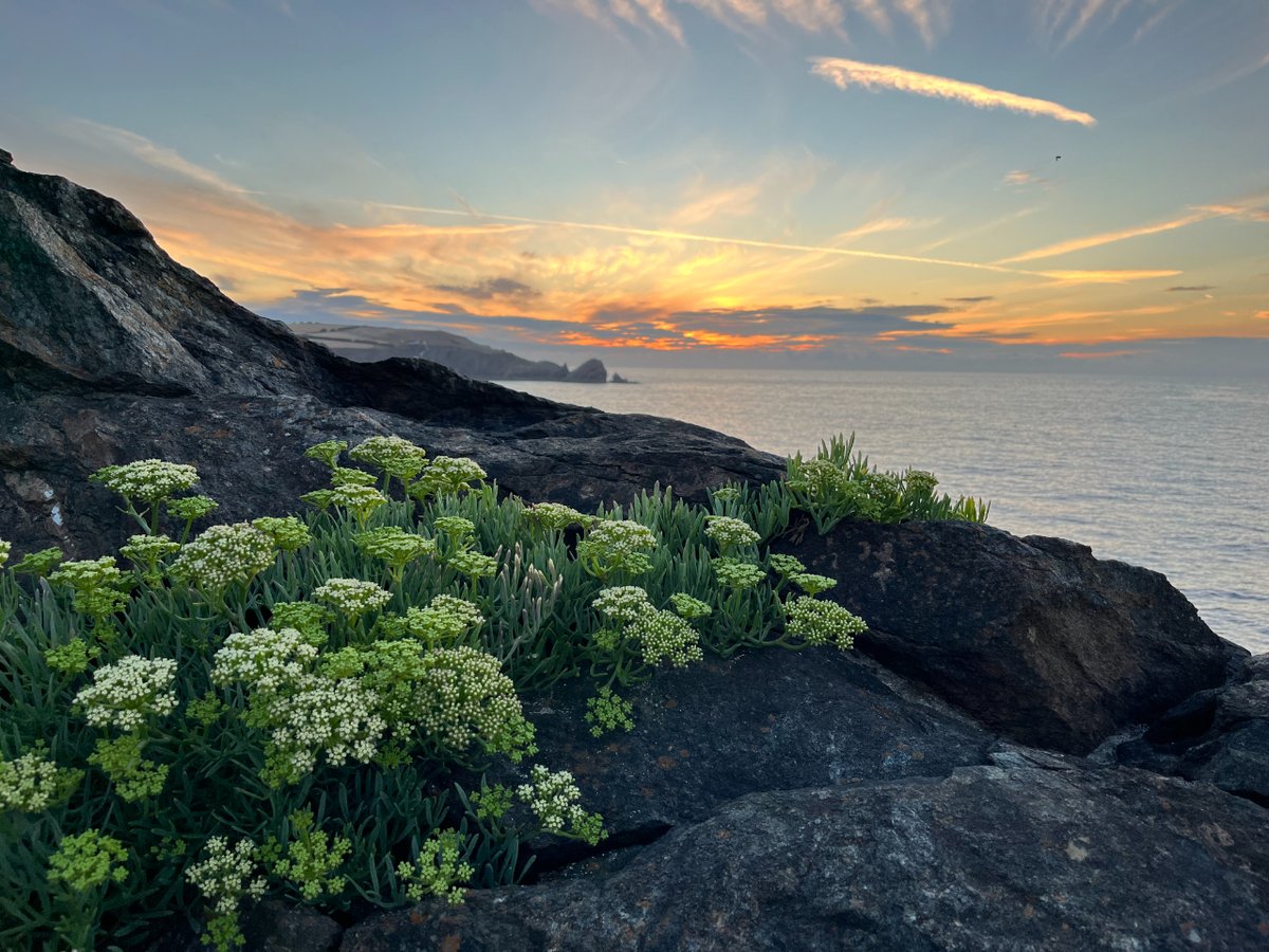 South West Coast Path Association tweet media