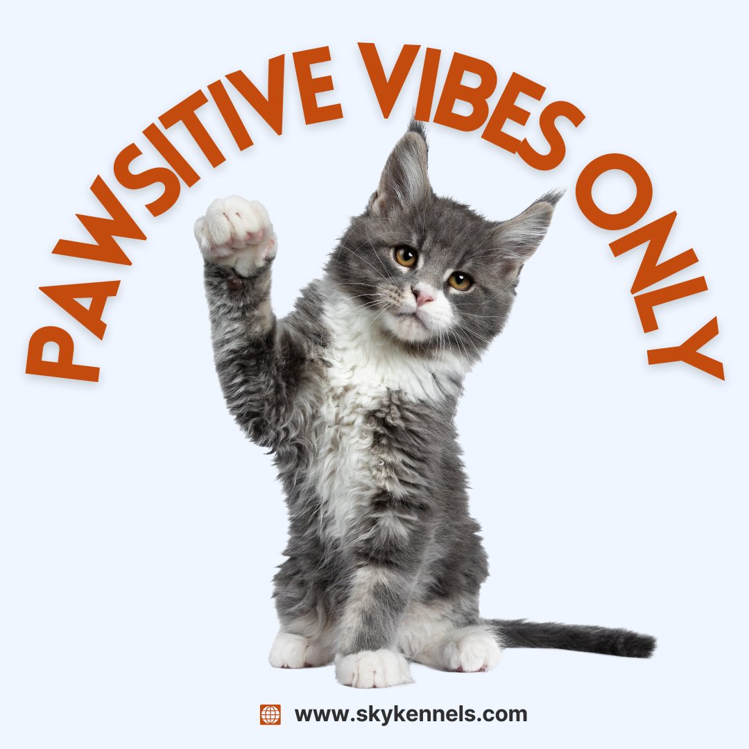 Today is #InternationalDayofHappiness!

And as pet owners, we know that true happiness comes from our four-legged friends!

#happiness #petowners #petlovers