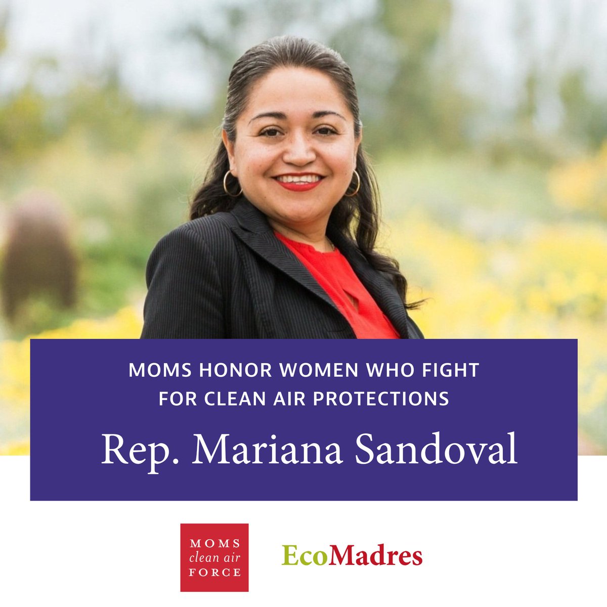 'Representing diverse communities of Arizona, I stand firm on the urgency of clean air for our families. @EPA, it's imperative we act swiftly. Finalizing these crucial regulations is paramount for safeguarding our children's and community health. Environmental justice demands…