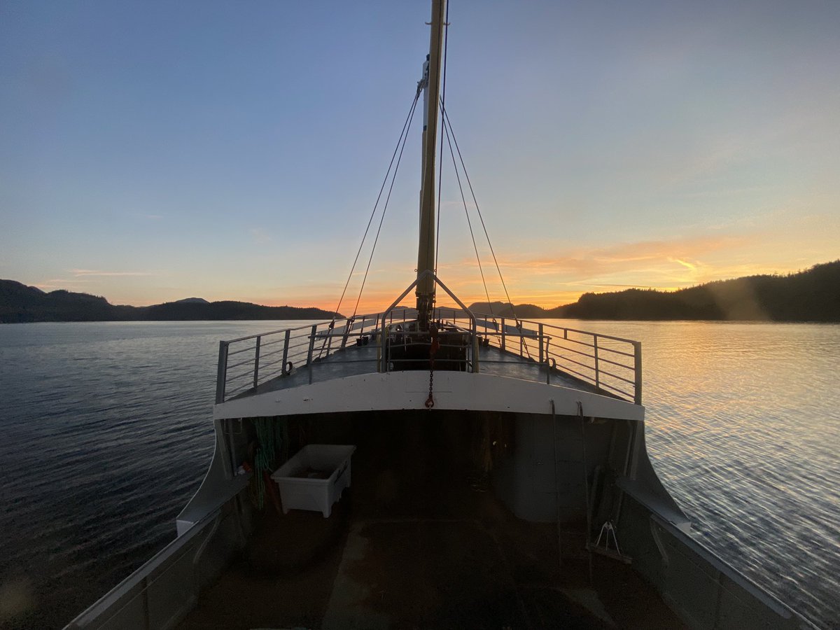 A beautiful weekend in Bamfield, BC at <a href="/pacific_eec/">PEEC 2024</a> where I shared my Masters Thesis work on bird-window collisions. Looking forward to help implement future bird-friendly solutions at <a href="/BamfieldMSC/">Bamfield MSC</a> and elsewhere 👀🐦🪟 <a href="/SFUResearch/">SFU Research</a> <a href="/SFU_Science/">SFU Science</a> <a href="/SFUBioSci/">SFU Biological Sciences</a>