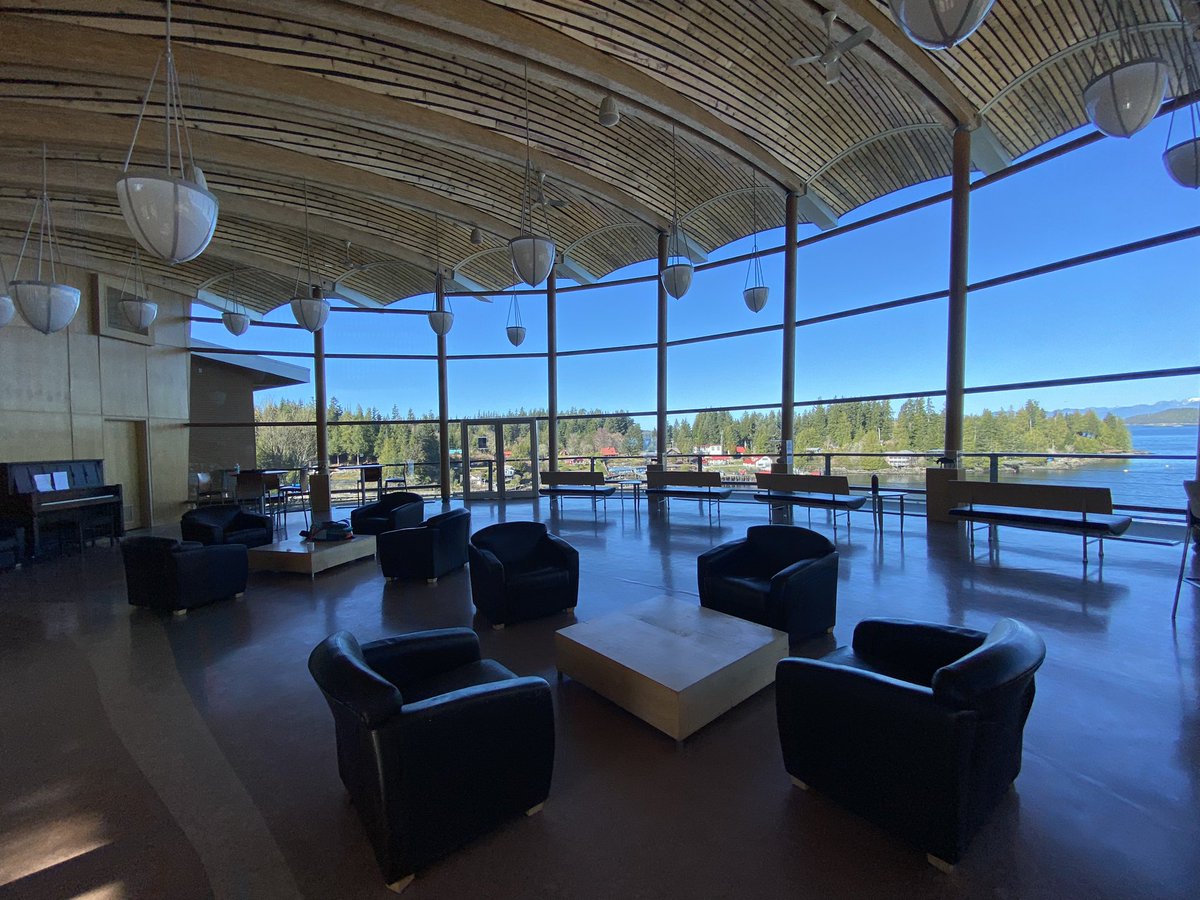 Vanessa Hum tweet media