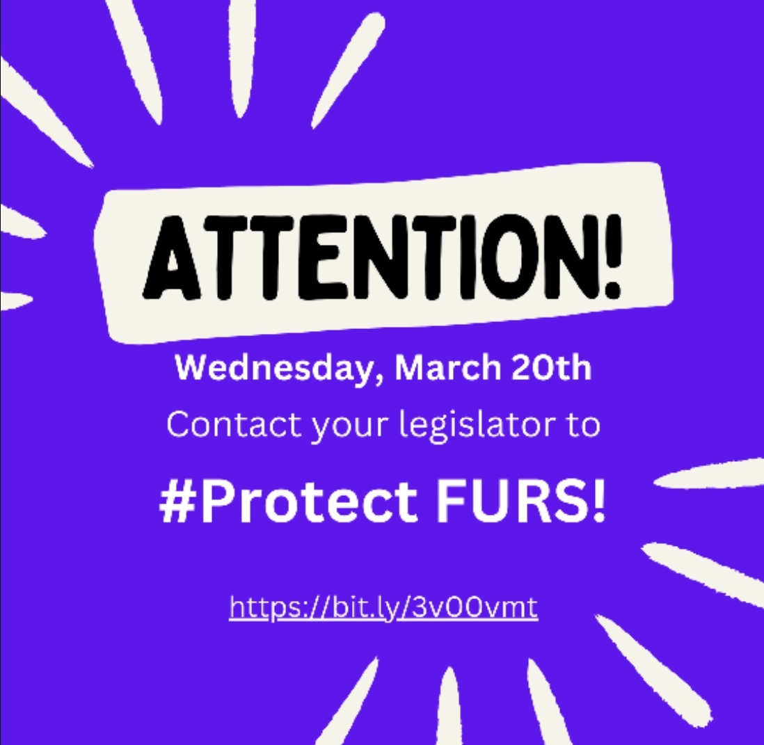 The 2024-25 #CABudget proposes to eliminate the Family Urgent Response System. TAKE ACTION NOW to make sure @CalFurs continues to keep children & youth who have spent time in foster care in stable family homes with 24/7 support – sign on at bit.ly/48lMAo2. #ProtectFURS