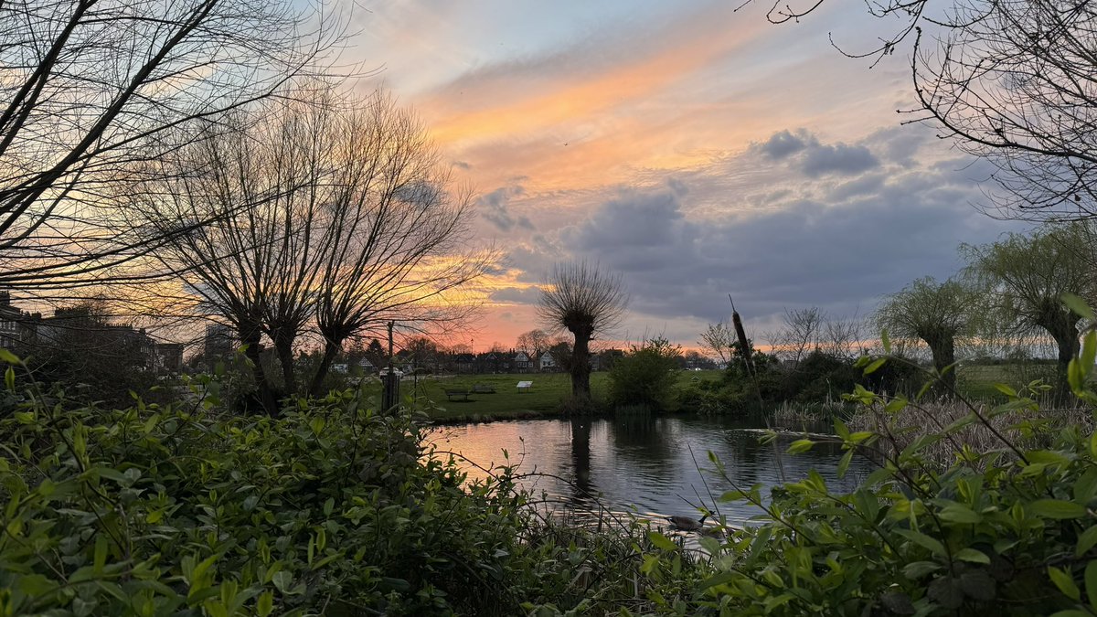 Towards #sunset #hareandbillet #blackheath this evening.