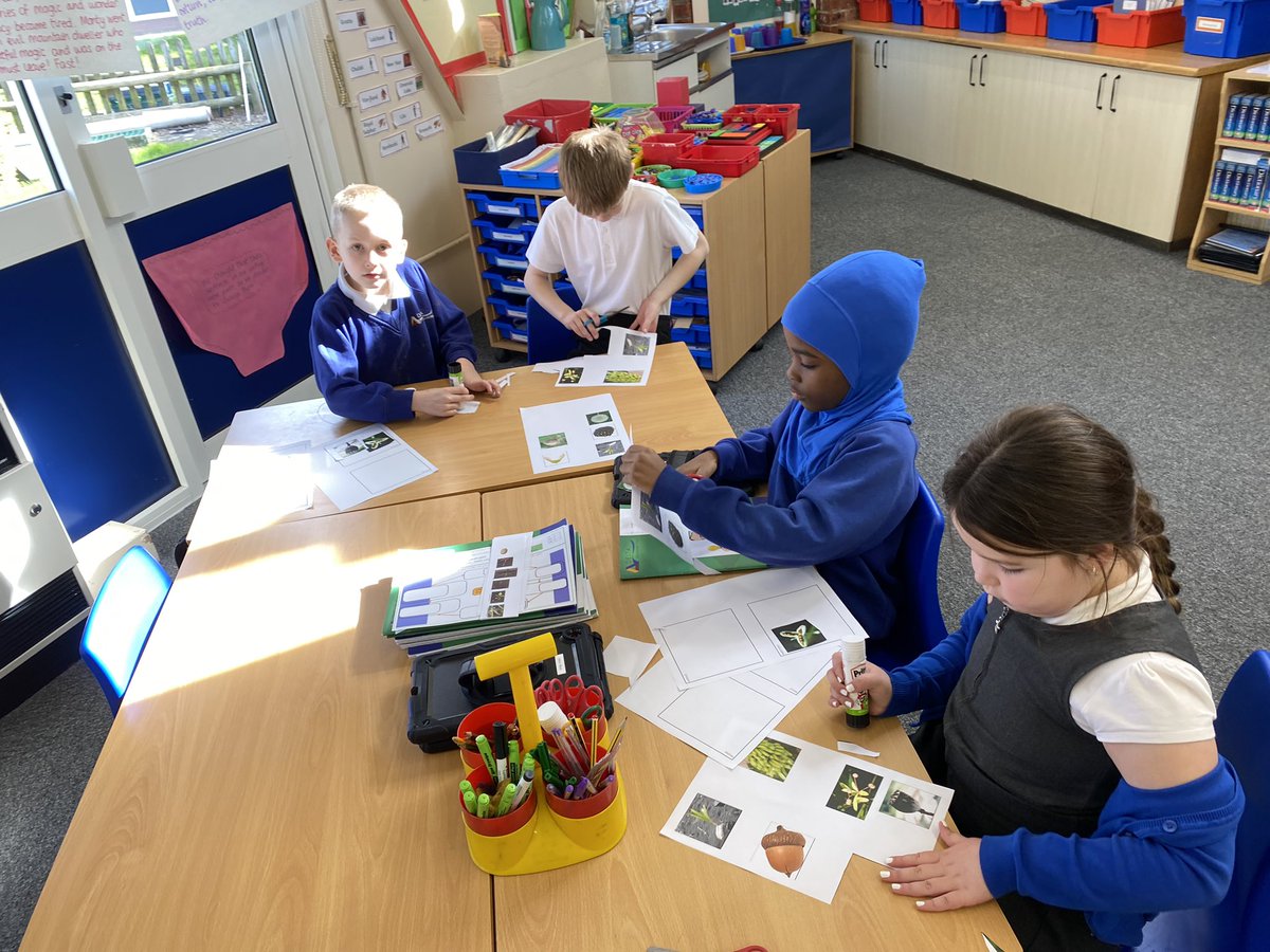 Class 5PB Macaulay Primary tweet media