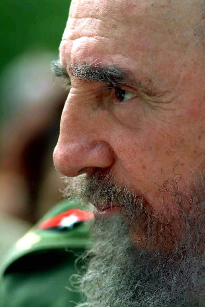 #Fidel en nuestros corazones.

Padre, los agradecidos te acompañan. 🇨🇺
#DeZurdaTeam_ #DeZurdaTeam #YoSigoAMiPresidente <a href="/Daniela_Cuba1/">Daniela Méndez 🇨🇺</a> <a href="/anamarianpp/">Ana Mari Machado</a> <a href="/FACSmirnov/">Dr.C. Fidel Antonio Castro Smirnov</a> <a href="/CaroCarreroCC/">𝑺𝒐𝒚𝓦arrior</a> <a href="/GuerreroCubano2/">Guerrero Cubano</a> <a href="/agnes_becerra/">Agnes Becerra</a>