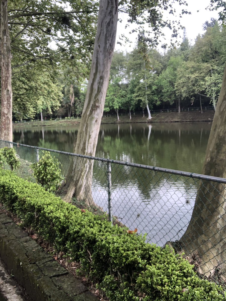 romanfh's tweet photo. He vivido en Xalapa por 18 años y nunca había venido a los lagos. Que chingón!! https://t.co/JrlZtPMkDx