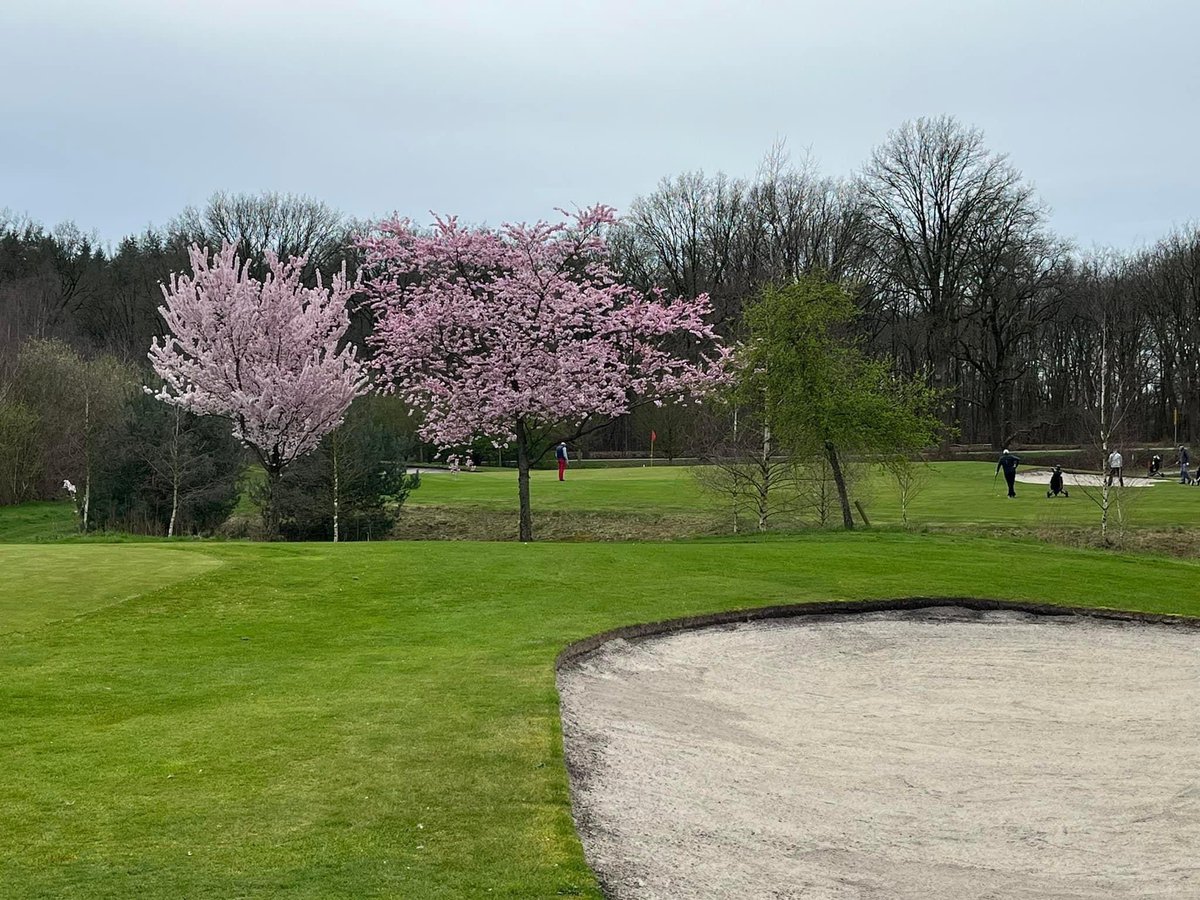 golfparkexloo's tweet photo. Het #golfseizoen gaat weer van start! Ontdek en #probeergolf; kom naar een open dag ; neem een proefles ; doe mee met een #golfstart cursus… https://t.co/edRb25b1oI