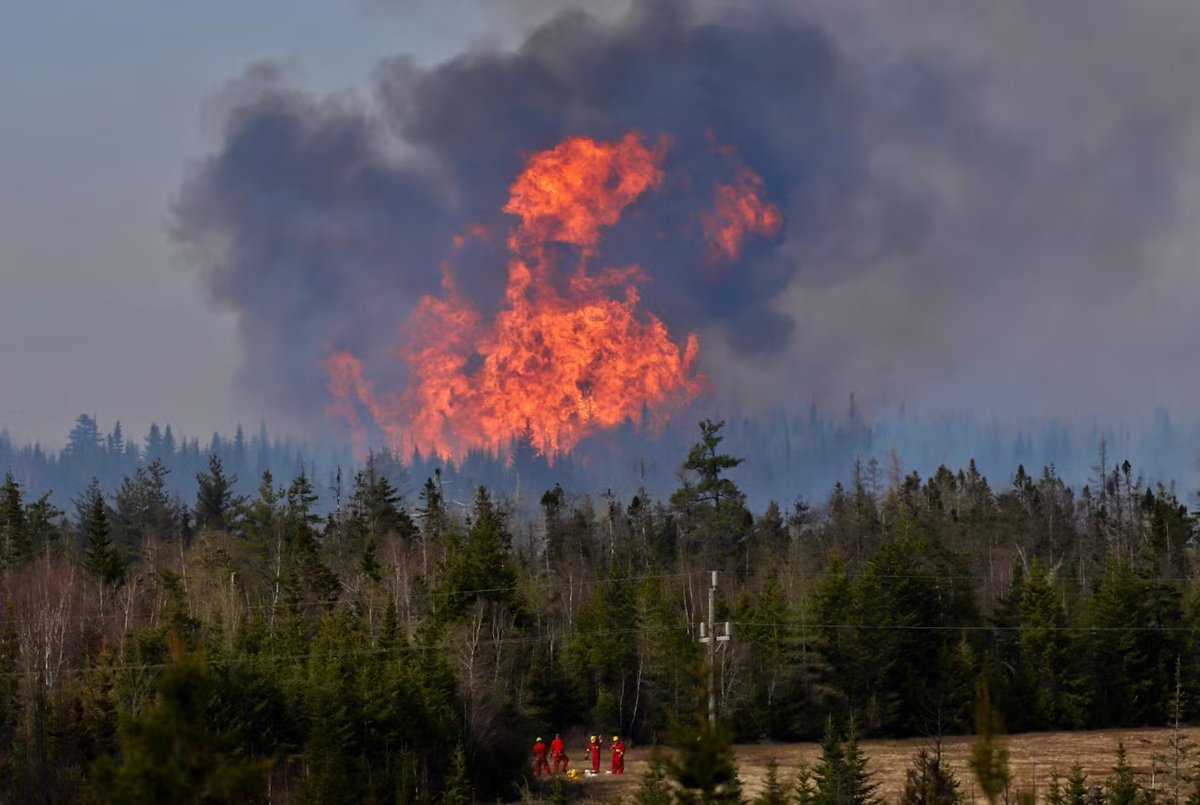 Hike Nova Scotia tweet media