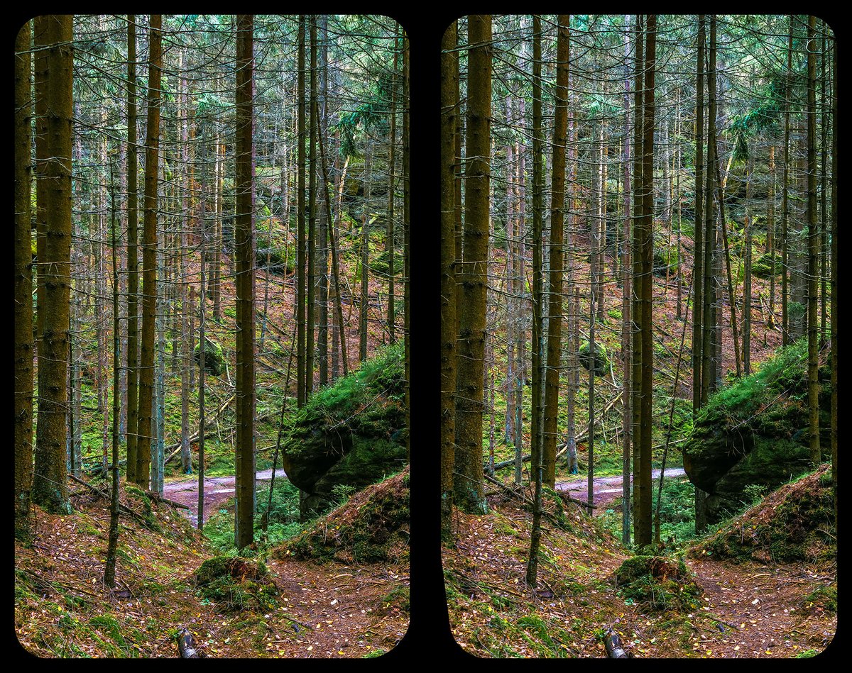 #3D #SächsischeSchweiz #Stereoscopy #Kreuzblick #Crossview #Stereo3D #Sachsen