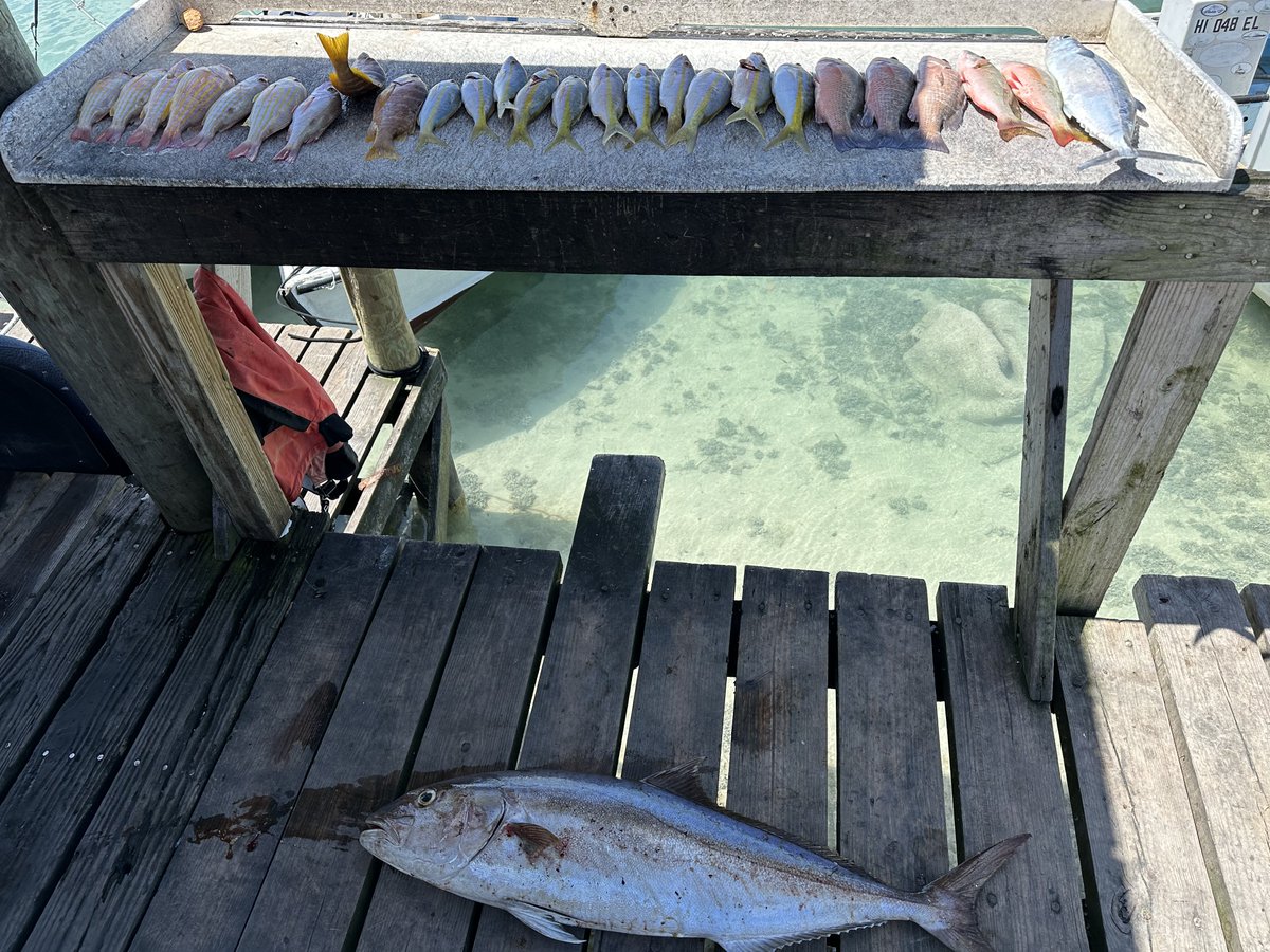 Hell of a mornin fishing with my not so little bro! Don’t get to see him as often as I’d like, so times like these are extra special! Makes it even sweeter when you have a nice yield too! 🎣 #AmberJack #Snapper #Grouper #HarbourIsland #ROAR