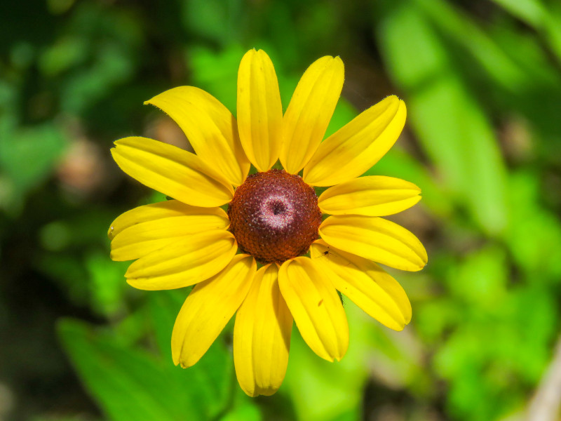 thewesterveltco's tweet photo. Hello, Spring!

Who else is excited about warmer weather and outdoor adventures?

#WeAreWestervelt https://t.co/BczJpqVWwU