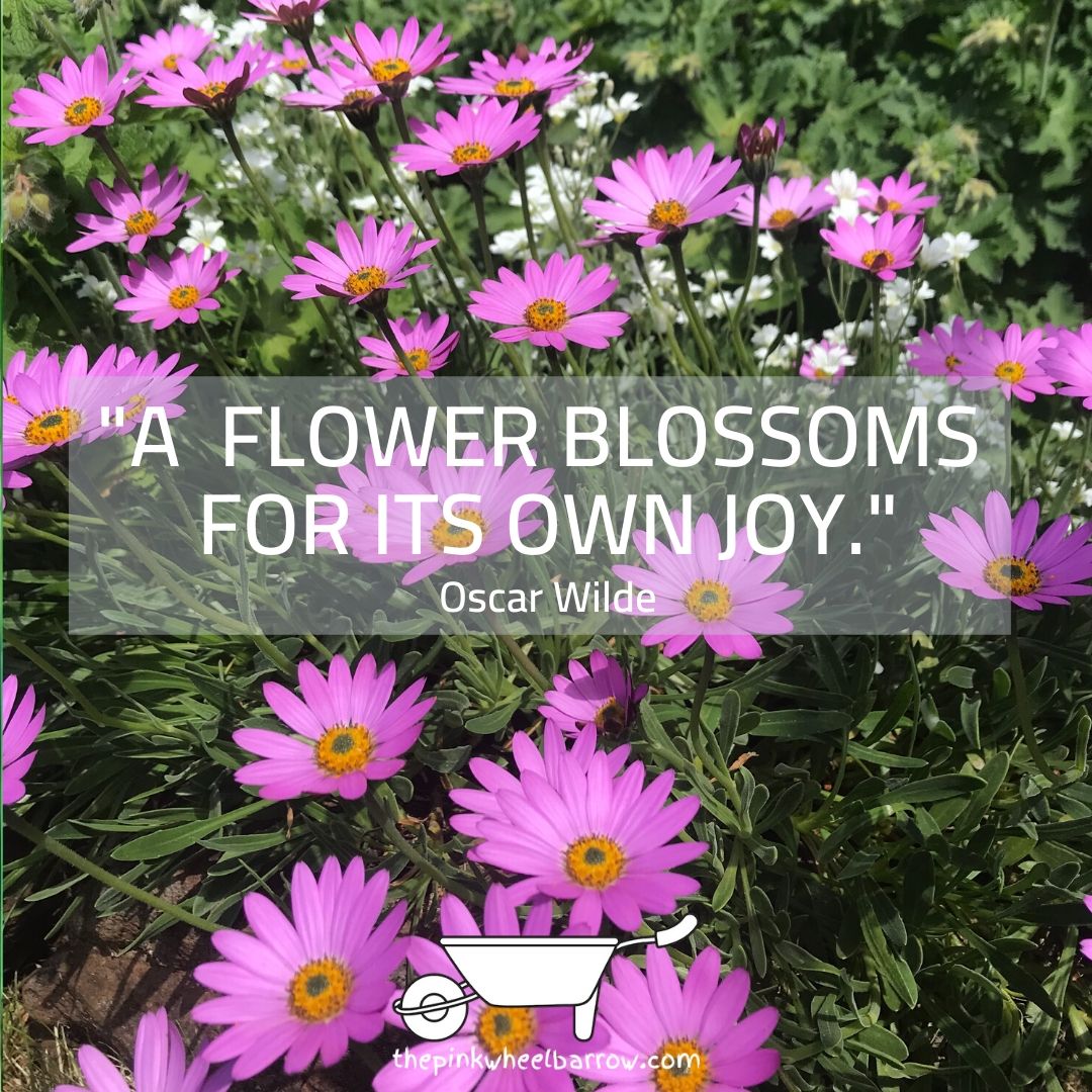 Happy International Day of Happiness 😊🌻#internationaldayofhappiness