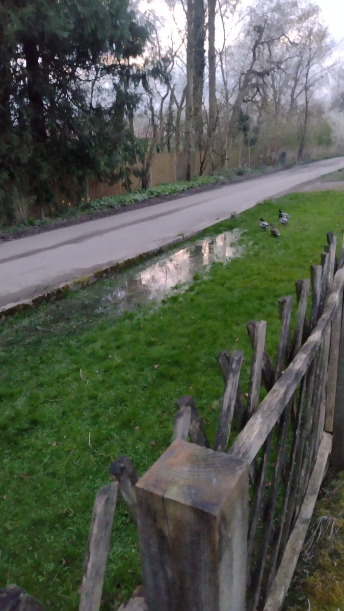 Tabitha Wild tweet media