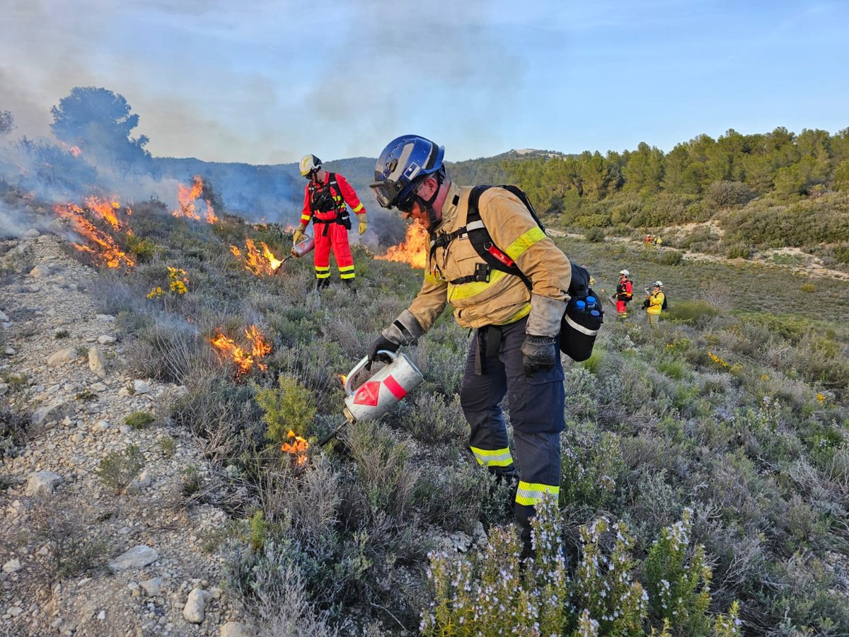 UMEgob's tweet image. El #BIEM4 organiza esta semana el ejercicio #TREX24, en el que expertos #LCIF 🔥 de los servicios de extinción de Aragón, Cataluña, La Rioja, Madrid y País Vasco participan en el estudio y puesta en practica de quemas prescritas en el Campo de Maniobras de San Gregorio #Zaragoza