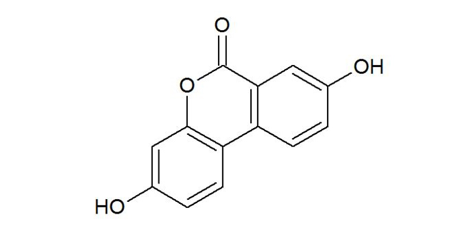 A postbiotic mitochondrial rejuvenator | Urolithin A. Write-up. increaselifespan.net/2024/03/19/a-p…