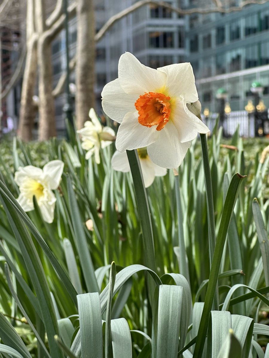 In case no one’s told you yet, you look absolutely stunning today 💚.