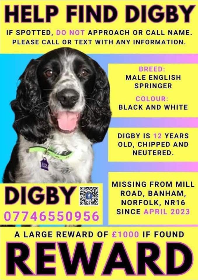 rosieDoc2's tweet image. #SpanielHour 

Digby went missing this 15/4/23 0830am after chasing🦌 
We were walking around Beetley River Meadows
He is diabetic/10 yrs old/He is on insulin. 3 other dogs returned 
#Banham #NORFOLK 
doglost.co.uk/dog-blog.php?d…

@juliagarland73 @JacquiSaid @thedogfinder @RachaelB100