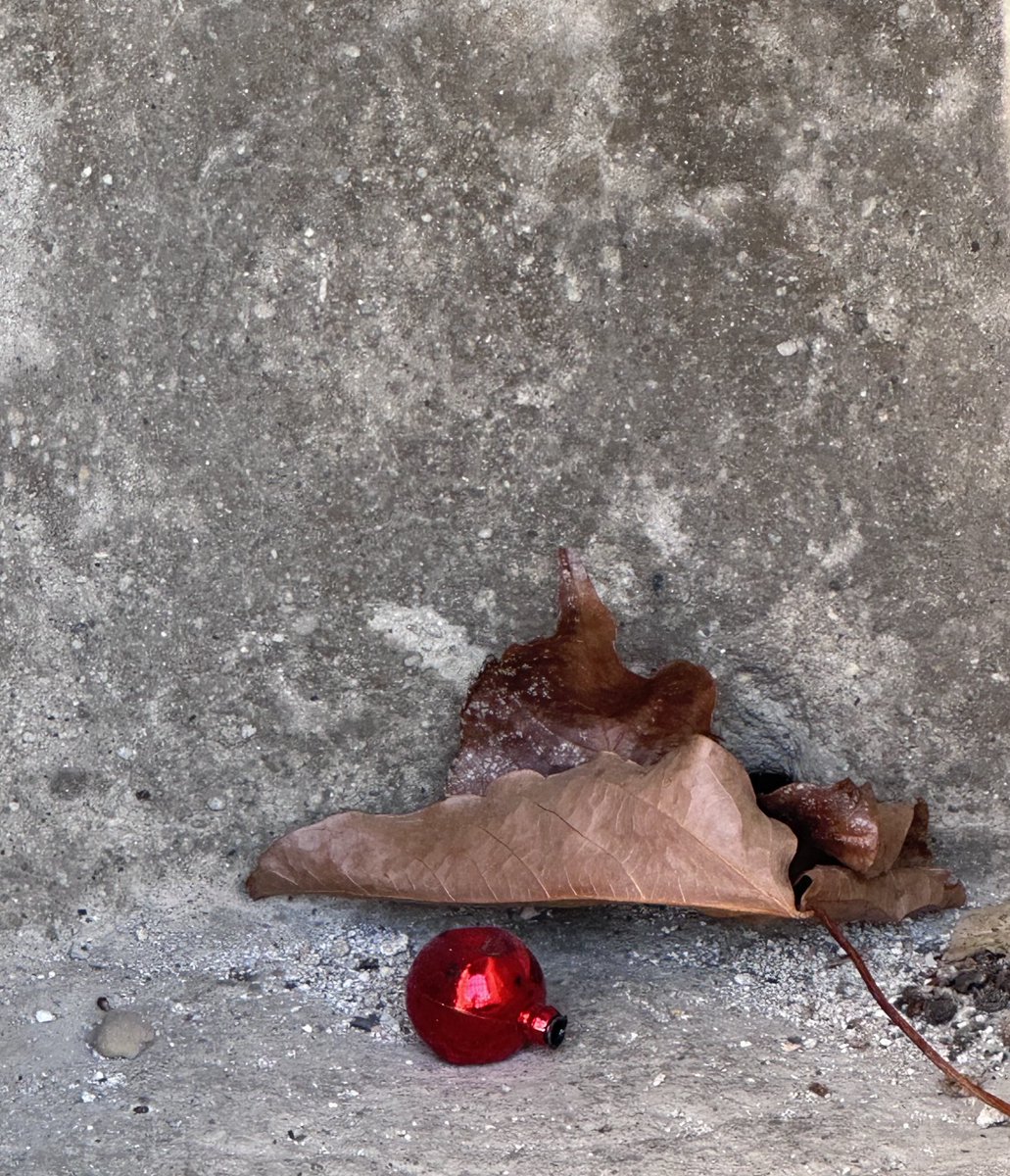 Alonein43672278's tweet photo. #photography #leave #christmasball https://t.co/spKLzKwJOD