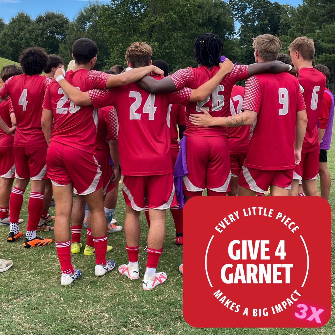 Support Team USC Sumter! Donate today to the Raymond L. High Memorial Endowed Scholarship and your funds will be tripled with two matching funds. #give4garnet #uscsumter #foreverfireant give4garnet.sc.edu/giving-day/796…