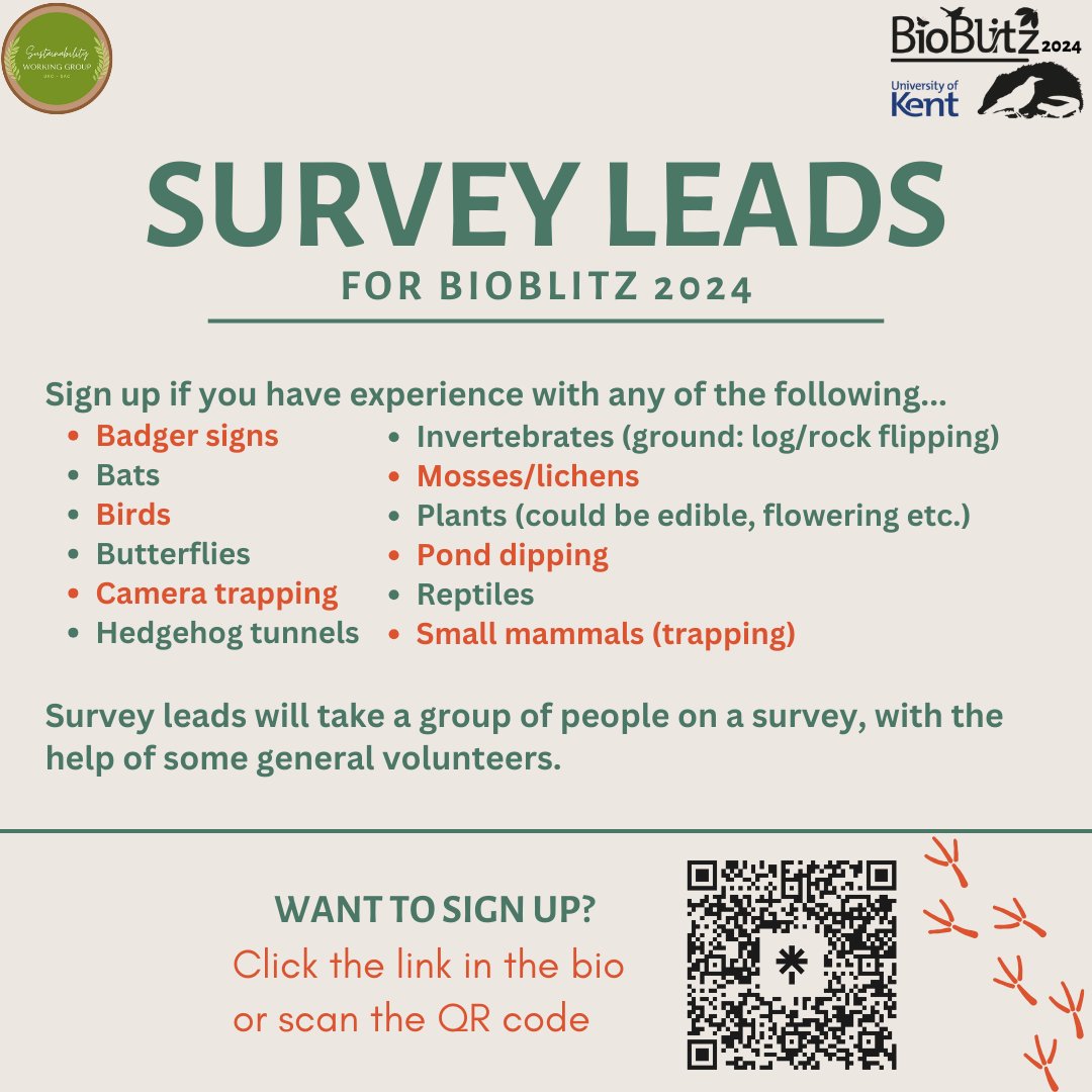 Do you have experience with specific wildlife? Sign up to be a 🦇Survey Lead🦇for BioBlitz 2024 at the University of Kent! Click the link in the bio or scan the QR code. Looking for: Camera trapping Badger signs Bats Birds Butterflies Hedgehog tunnels Invertebrates And more!