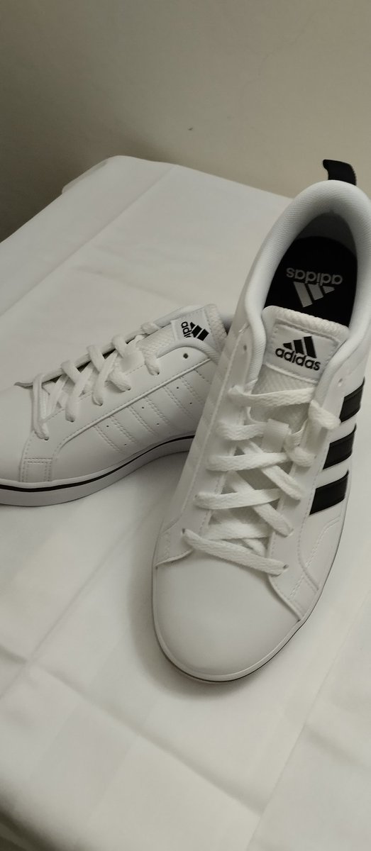 Marilena M. tweet media