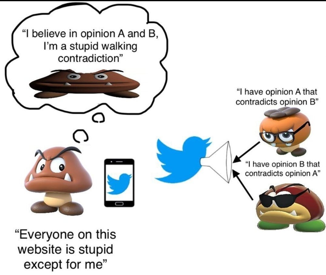 SuperSquidoodle's tweet image. I'm dead fucking serious when I say this image has irreversibly changed how I view opinions on the internet