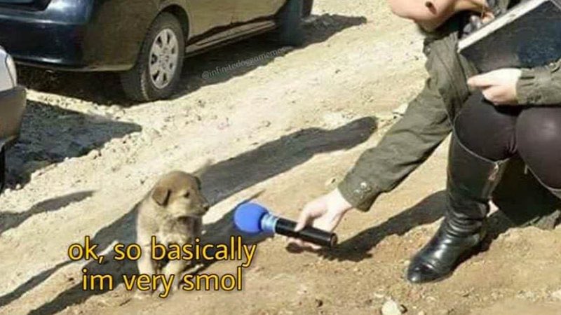 Andreelefty tweet media