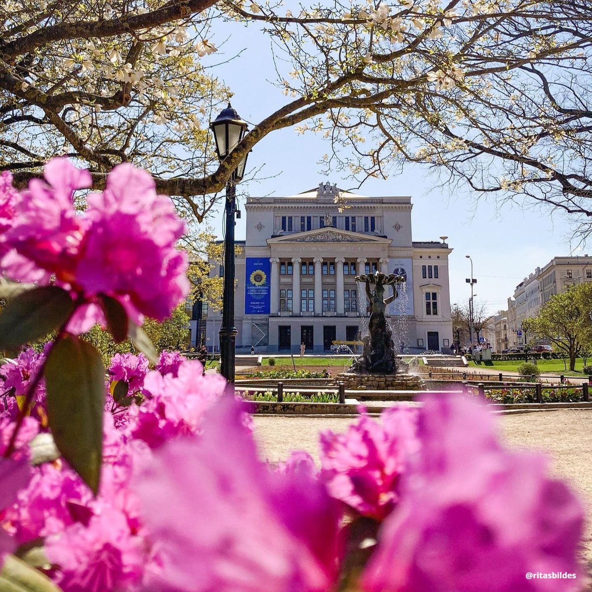 One of spring's most magnificent parts is the blossoming flowers🌸 & the celebration of the #InternationalHappinessDay. Inside tip: start this season with laughter, love, and unforgettable memories. Spring has sprung🌹, so share your photos of trees in bloom!👇