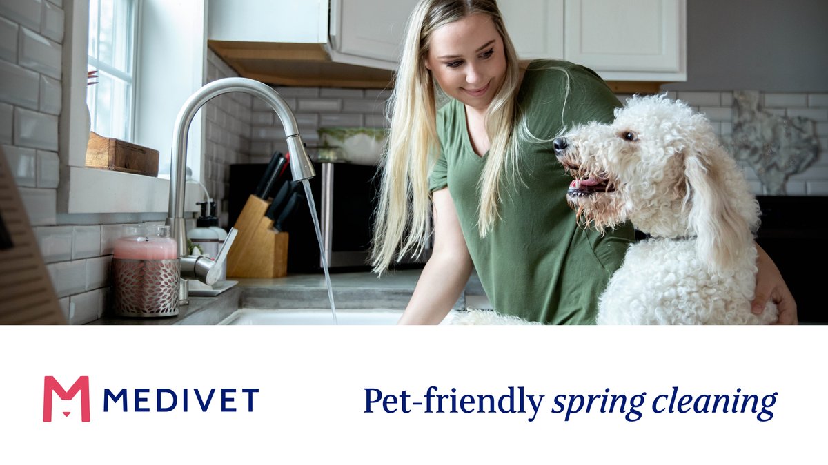 Today is the first day of spring 🌼 so if you've started planning your spring clean, it's important to know how to keep this pet-friendly. To find out about the common toxic cleaners to watch out for read here: bit.ly/3vjXVYo