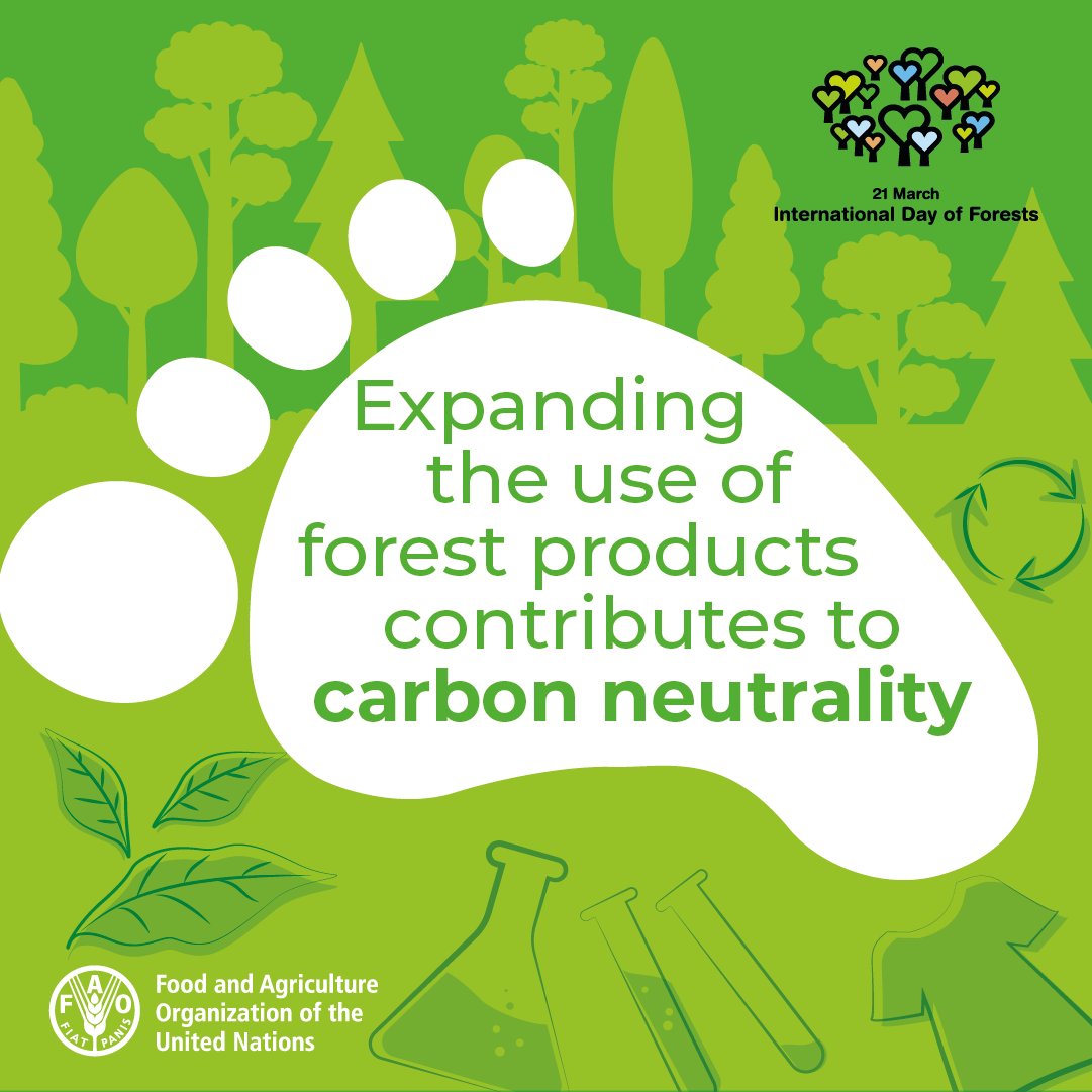 Today is International Day of Forests!
the 2024 theme is 'Forests and Innovation: New Solutions for a Better World'
Forest products help create alternatives to unsustainable materials, while sustainable wood products store carbon for their lifetime.
#ForestDay #IntlForestDay