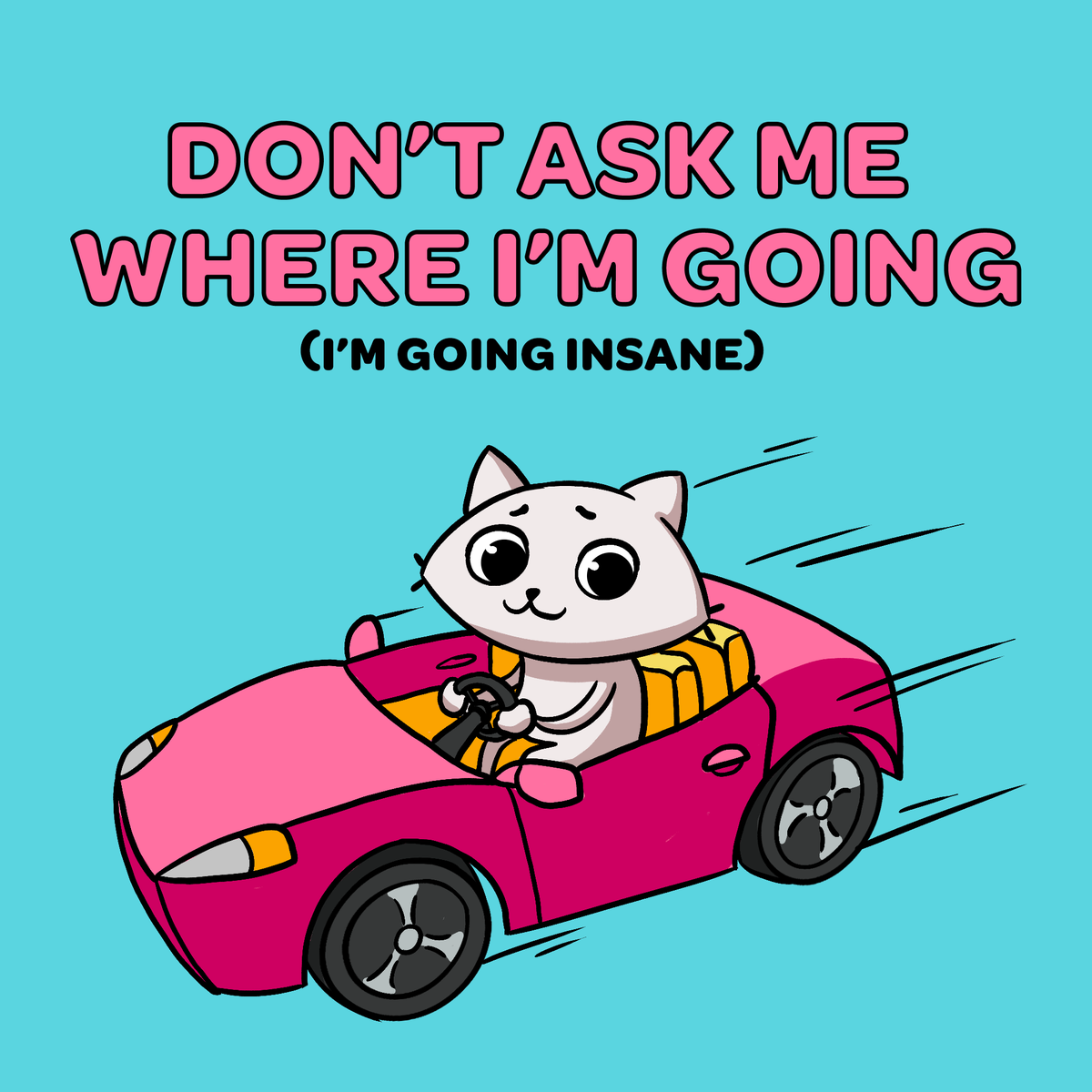 wen u know u can't handle the volatility of memecoins but still ride it anyways...