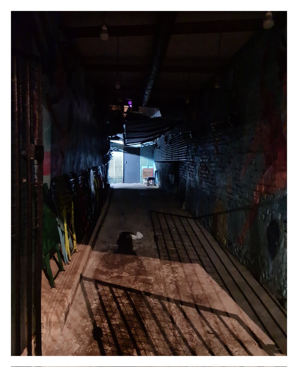 Alex Bischer tweet media