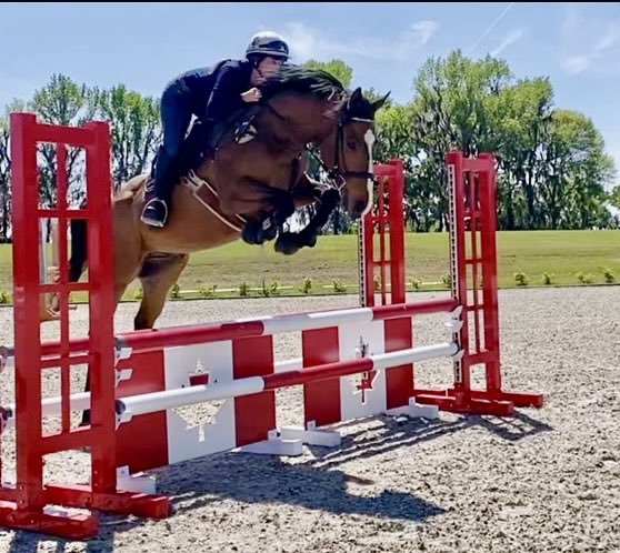 The absolute BEST kind of update! We repaired a career-ending severe fracture in this TB 2 years ago-the owners went to the wall for this guy and saw him thru right to placement in this amazing home.Got this pic today of him jumping with ease-remarkable what these…