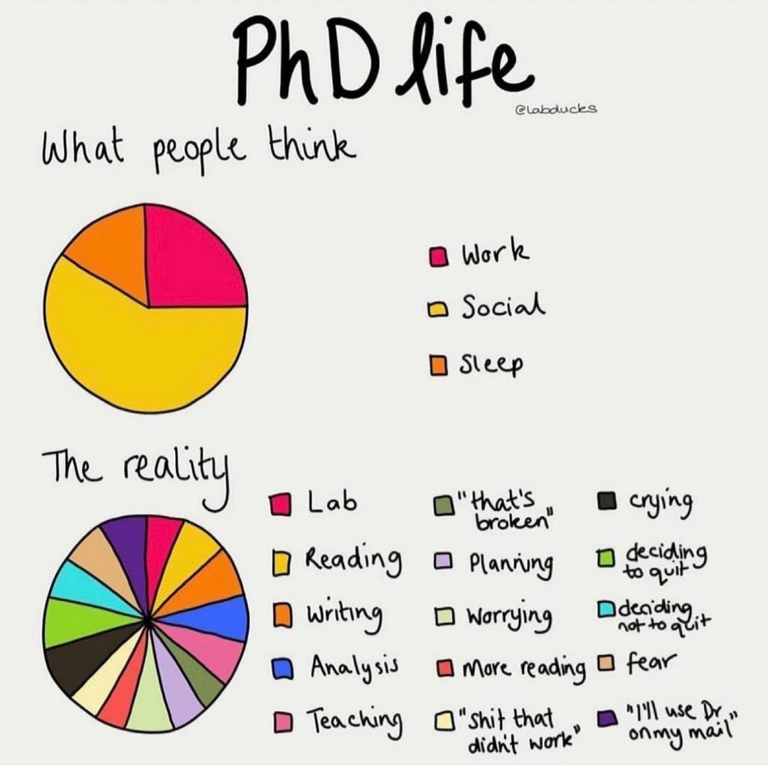 hapyresearchers's tweet photo. https://t.co/uyo3x78Mz8