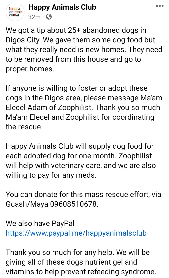yuleyanne's tweet photo. Anyone from or near Digos City?
There are 25+ abandoned dogs who needs your help!

For those who will adopt daw po, they will help you sa veterinary care, medicines and will supply you w/ 1 month dog food

#JusticeForErika
#JusticeForKillua
#JusticeForChamp 
#StopAnimalCruelty https://t.co/JFmTVqCHND