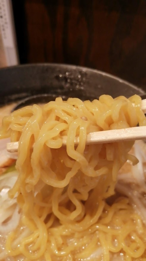 近所のメイプルビルにちょい前オープンした「札幌ラーメン 左馬」。今日から朝ラーを始めたとのことで初訪問。味噌らーめん900円、うん、けっこう美味しいし、好きな味。甘めだけど甘すぎず、濃厚だけどしょっぱくはない、均整の取れた味わいで食べやすく、朝食べてもそんなに重くないですね。