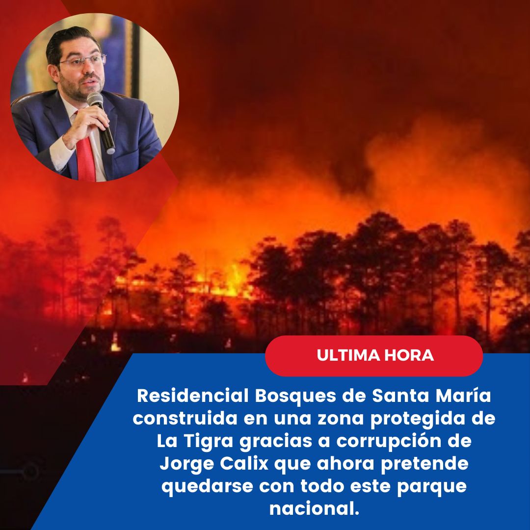 La avaricia de @JorgeCalixHN no tiene límites. Primero corrompe para construir en zona protegida de la Tigra, ahora quiere apoderarse de todo el pulmón verde. Es hora de poner un alto a este abuso de poder y proteger nuestro patrimonio natural. #JusticiaAmbiental #NoALaCorrupción