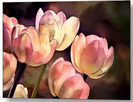 Sandi OReilly @sandioreilly Peach Pink Tulip Grouping #artwork HERE: sandi-oreilly.pixels.com/featured/peach… #tulips #peach #pink #group #flowers #spring #design #decor #digitalpainting #pretty #stylish #AYearForArt #BuyIntoArt See more #art,#products &on #products HERE sandi-oreilly.pixels.com