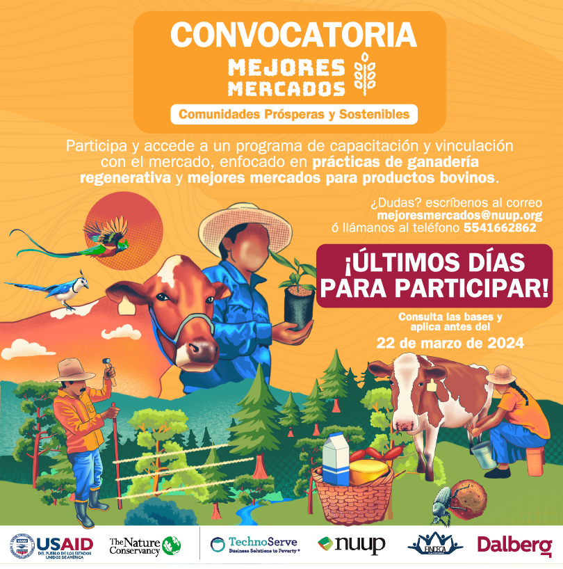 Mexico_TNC's tweet photo. ¡Atención organizaciones dedicadas a la #ganadería en Chiapas, Oaxaca y Península de Yucatán! 🐄🌿💰Mejora tu rentabilidad ampliando tu mercado  y accediendo a mejores condiciones comerciales. 
Esta convocatoria cierra el 22 de marzo. 
Consulta las bases➡️ https://t.co/kvYdkS6R1r https://t.co/ryGSjxtmJZ