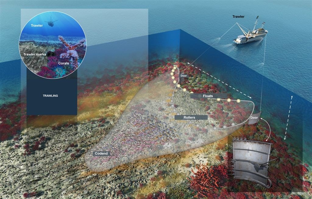 Weren't the Tories and #Brexit supposed to protect our precious and glorious nation? 🇬🇧 UK's marine protected areas torn up by foreign #fishing vessels - ecohustler.com/technology/uks… @RishiSunak @ZacGoldsmith @Ed_Miliband @DaleVince @OceanaUK @oceanrebellion @Feargal_Sharkey