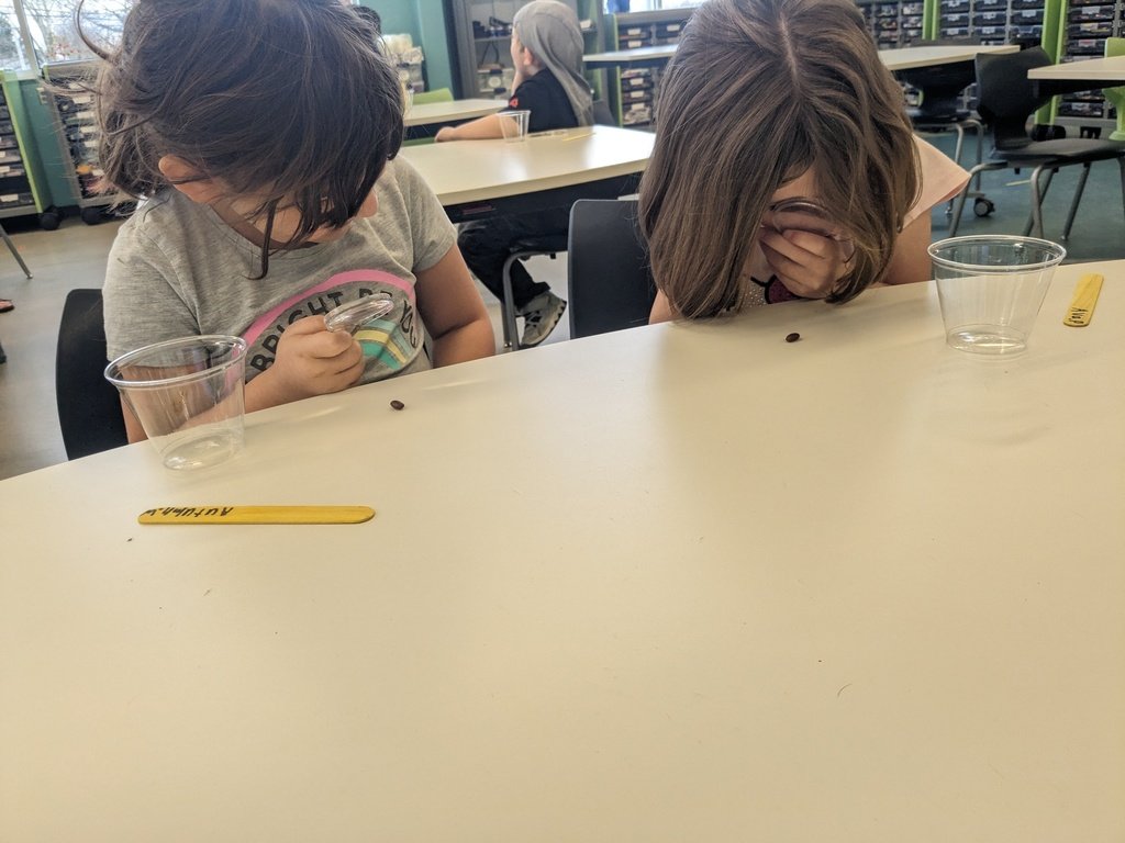 WashingtonSTEM tweet media