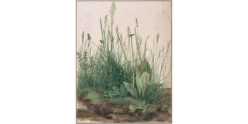 'Ruderal Poetics: Epic, Empire, and the Tenacity of Weeds': Thursday 18 April 2024, 6pm. Prof Nandini Das reflects on the tenacity of #weeds that share civilised spaces, to #vegetal intrusions that grow in the interstices of #epic and imperial imaginings. tinyurl.com/v6uvmyzk