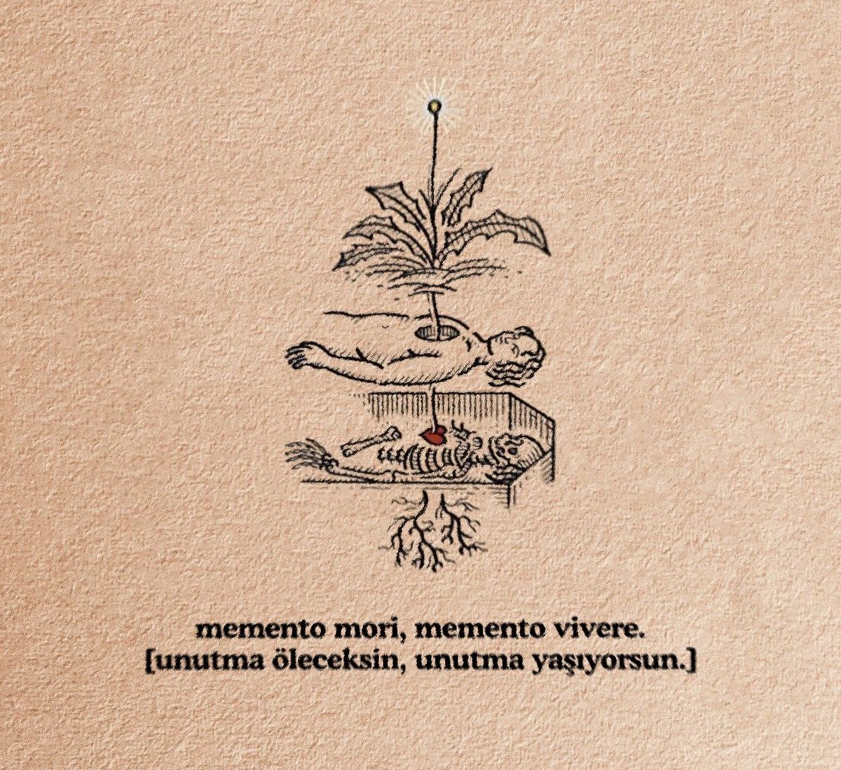 Kadir Aydoğan (@bengitay) on Twitter photo 