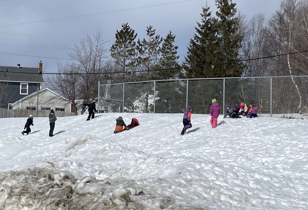 Gander Academy tweet media