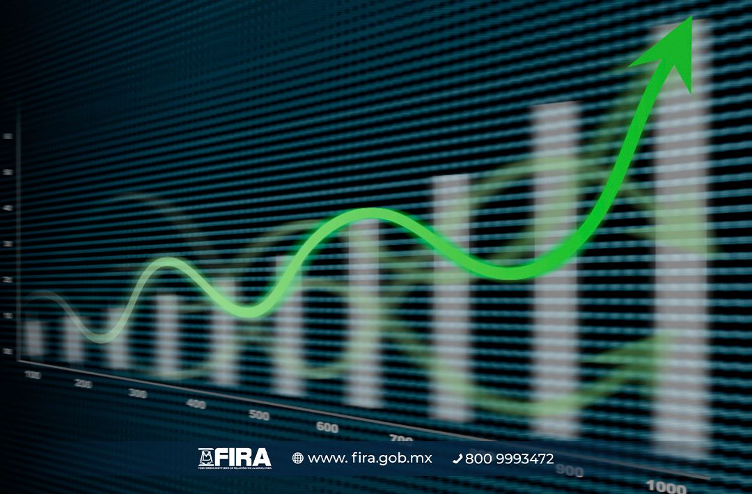 FIRA te presenta información macroeconómica especializada tal como: estadísticas de PIB, tipo de cambio, tasas de interés de referencia, empleo, balanza comercial, entre otras series de datos bit.ly/3VnTJkW