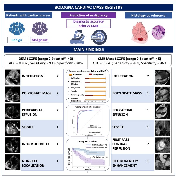 A CMR-derived model, including mass morphology and tissue characterization, showed excellent accuracy, superior to echocardiography, in predicting CMs malignancy, with prognostic implications @P_Paolisso @L_Bergamaschi @belmontemarta @FoaAlberto ahajrnls.org/3IMbKBX