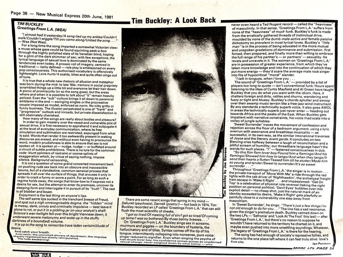 Tim Buckley’s ‘Greetings From L.A.’, by Ian Penman. Pic by Joe Stevens. New Musical Express, 20 June 1981.